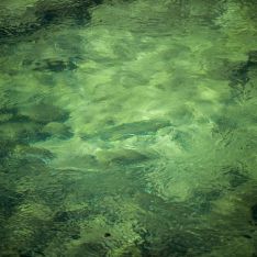 British Columbia Steelhead Valhalla Lodge - Gallery